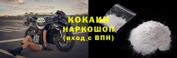 PSILOCYBIN Горняк