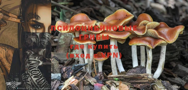 прущий лед Горно-Алтайск