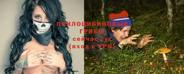 бошки Усолье-Сибирское