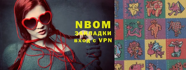 прущие грибы Куйбышев
